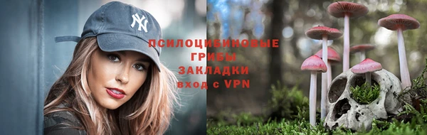 тгк Бугульма