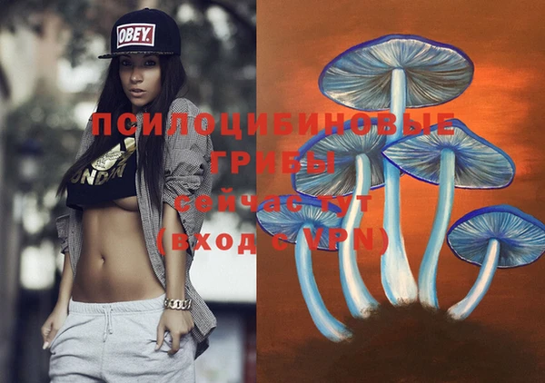 меф Бородино