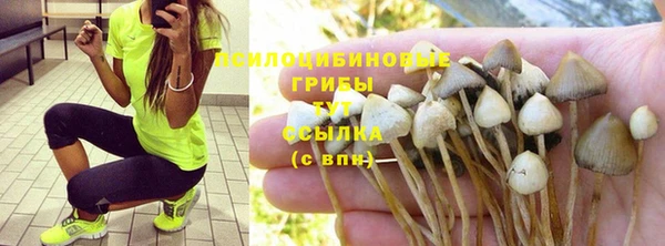 тгк Бугульма
